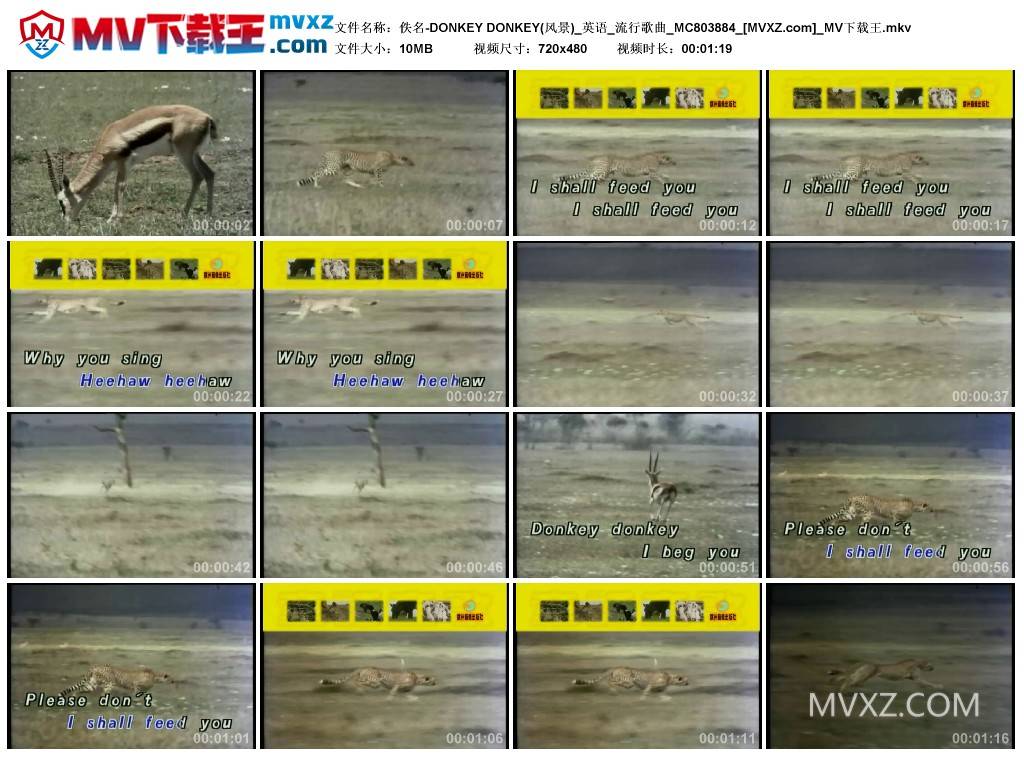 佚名-DONKEY DONKEY(风景)_英语_流行歌曲_MC803884